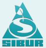 SIBUR is the leading petrochemical company in Russia and Eastern Europe. The Company operates across the entire petrochemical process chain from gas processing, production of monomers, plastics and synthetic rubbers to the production of mineral fertilizers, tyres and the processing of plastics.